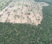 Multas por desmatamentos ilegais no MS somam mais de R$ 4 mi em 2018
