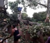 Temporal derruba árvores e destelha residências de distrito de Rio Brilhante