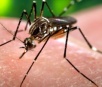 Notificações de dengue "explodem" e sobem 402% em uma semana em MS