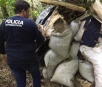 Paraguai destrói 5 hectares de maconha descobertos por helicóptero
