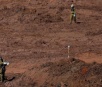 Ibama: tragédia de Brumadinho devastou 133 hectares de Mata Atlântica