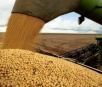 Conab reduz estimativa de safra de soja do Brasil 2014/15 para 94,58 mi t