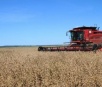 Mais avançada na região central, colheita de soja chega a 20% em MS