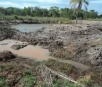 Fazendeiro é multado em R$ 15 mil por degradação de área preservada em Bataguassu