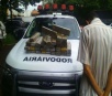 Polícia Militar Rodoviária apreende 34 kg de maconha na MS 164