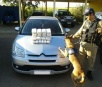 PRF apreende quase 30 kg de cocaína com a ajuda de cães