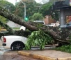 Motos e carro foram destruídos por árvores derrubadas por vendaval em Dourados