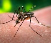 Chikungunya já afetou quase 2 mil em 12 estados e DF apenas neste ano
