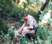 Em Bonito, Polícia Ambiental prende caçador que matou onça em extinção