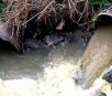 BNDES terá financiamento para recuperação de nascentes de rios