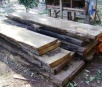 PMA autua homem por exploração e armazenamento ilegal de madeira no Assentamento Itamarati