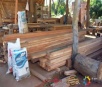 PMA fecha serraria ilegal, apreende madeira e aplica multa de R$ 7,4 mil