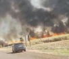 Incêndios de grandes proporções atingem plantações em duas rodovias