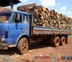 PMA apreende carga de madeira ilegal e aplica multa de R$ 6,3 mil