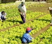 Vereadora requere doação de terreno à Associação de Agricultores Familiares de Itaporã