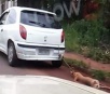 Vídeo mostra cachorro sendo arrastado por veículo