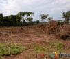 PMA autua pecuarista em R$ 4,5 mil por desmatamento ilegal