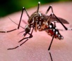 Prefeitura de Itaporã fiscaliza quintais e notifica proprietários para limpeza em combate ao Aedes a