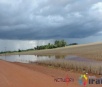 Excesso de chuvas frustra meta de safra recorde de soja em Mato Grosso do Sul