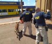 Policiais de Dourados vão receber aulas sobre segurança na fronteira