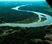 Represas, agrotóxico e degradação: fogo não é única ameaça ao Pantanal