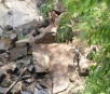 Banhista morre afogado na cachoeira do Céuzinho, em Campo Grande