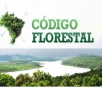 Embrapa desenvolve website para facilitar a compreensão sobre o Código Florestal
