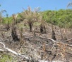 PMA autua proprietário rural em oito mil reais por desmatamento e incêndio ilegais