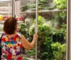 Clima e entressafra elevam em até 20% preços de hortifrutis na Capital